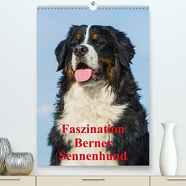 Faszination Berner Sennenhund (Premium, hochwertiger DIN A2 Wandkalender 2023, Kunstdruck in Hochglanz), Sigrid Starick