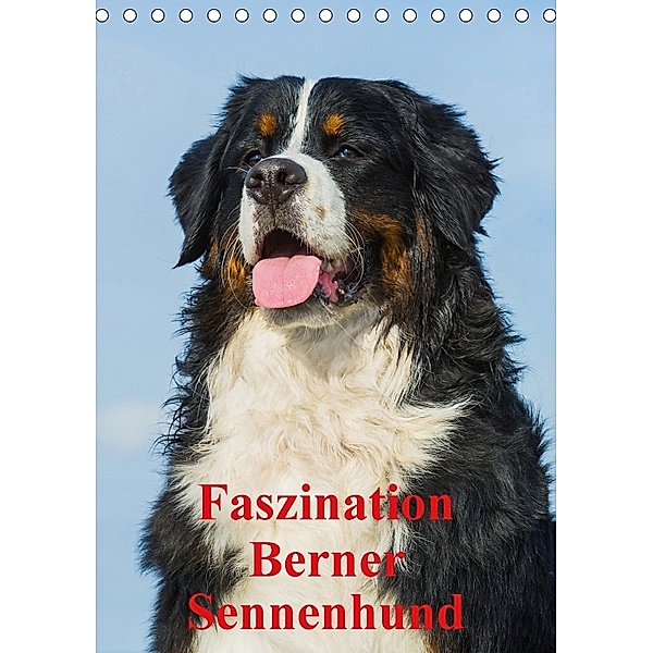 Faszination Berner Sennenhund (Tischkalender 2018 DIN A5 hoch), Sigrid Starick