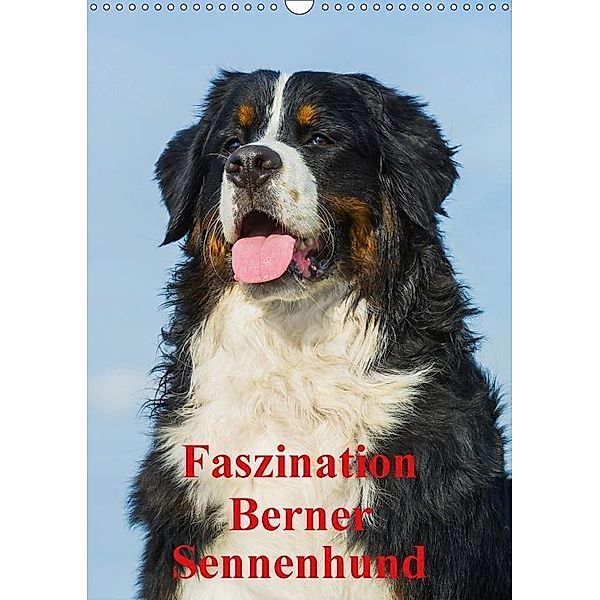 Faszination Berner Sennenhund (Wandkalender 2017 DIN A3 hoch), Sigrid Starick