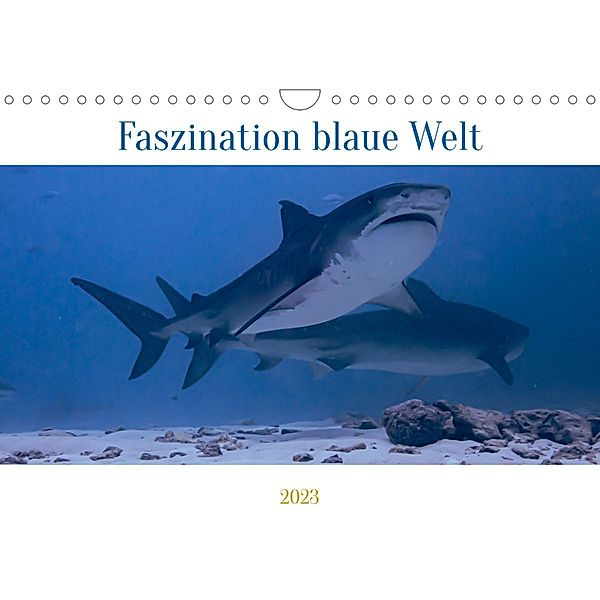 Faszination blaue Welt (Wandkalender 2023 DIN A4 quer), Peter Schulz