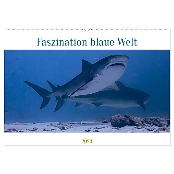 Faszination blaue Welt (Wandkalender 2024 DIN A2 quer), CALVENDO Monatskalender, Peter Schulz
