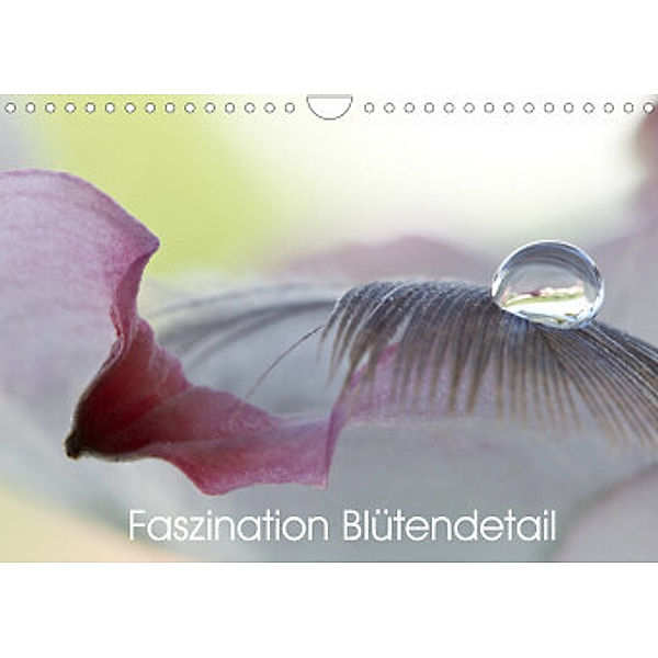 Faszination Blütendetail (Wandkalender 2022 DIN A4 quer), Hans Bechheim