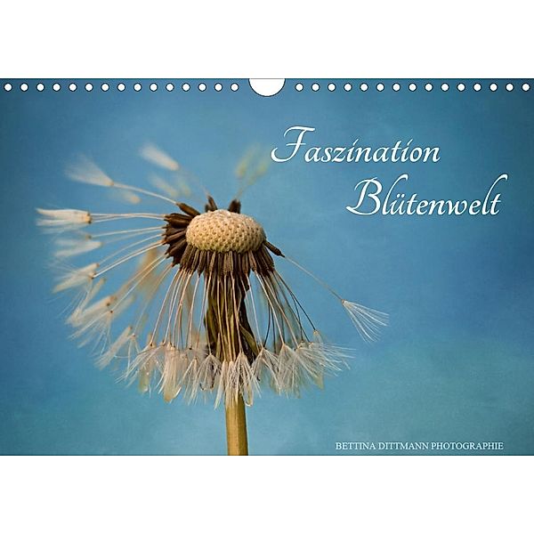 Faszination Blütenwelt (Wandkalender 2020 DIN A4 quer), Bettina Dittmann