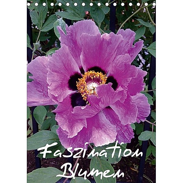 Faszination Blumen (Tischkalender 2018 DIN A5 hoch), Bernd Hufeld