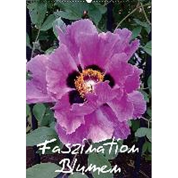 Faszination Blumen (Wandkalender 2015 DIN A2 hoch), Bernd Hufeld