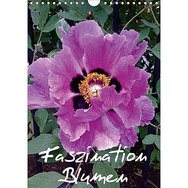 Faszination Blumen (Wandkalender 2020 DIN A4 hoch), Bernd Hufeld