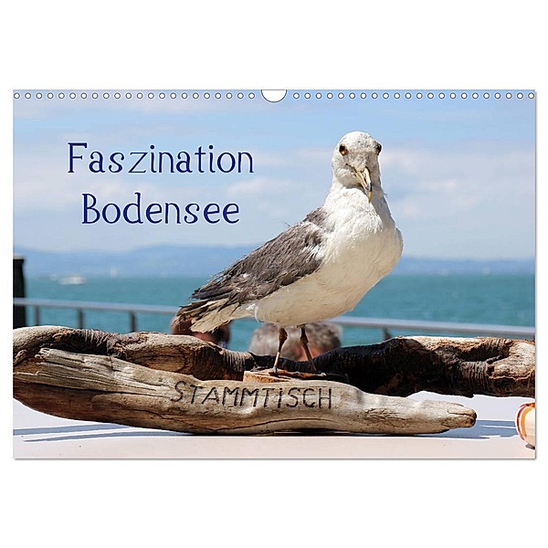 Faszination Bodensee (Wandkalender 2024 DIN A3 quer), CALVENDO Monatskalender, Karsten-Thilo Raab