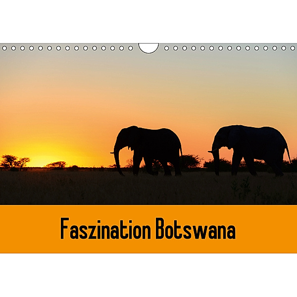 Faszination Botswana (Wandkalender 2019 DIN A4 quer), Frauke Scholz