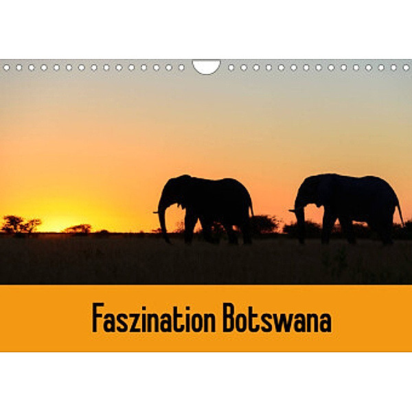 Faszination Botswana (Wandkalender 2022 DIN A4 quer), Frauke Scholz