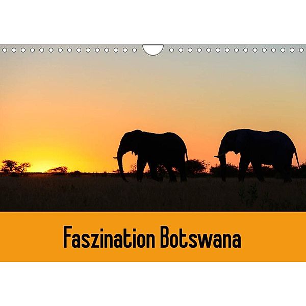 Faszination Botswana (Wandkalender 2023 DIN A4 quer), Frauke Scholz