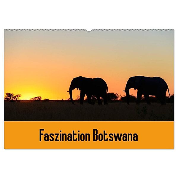 Faszination Botswana (Wandkalender 2024 DIN A2 quer), CALVENDO Monatskalender, Frauke Scholz