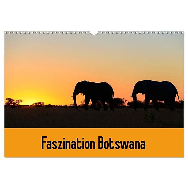 Faszination Botswana (Wandkalender 2024 DIN A3 quer), CALVENDO Monatskalender, Frauke Scholz