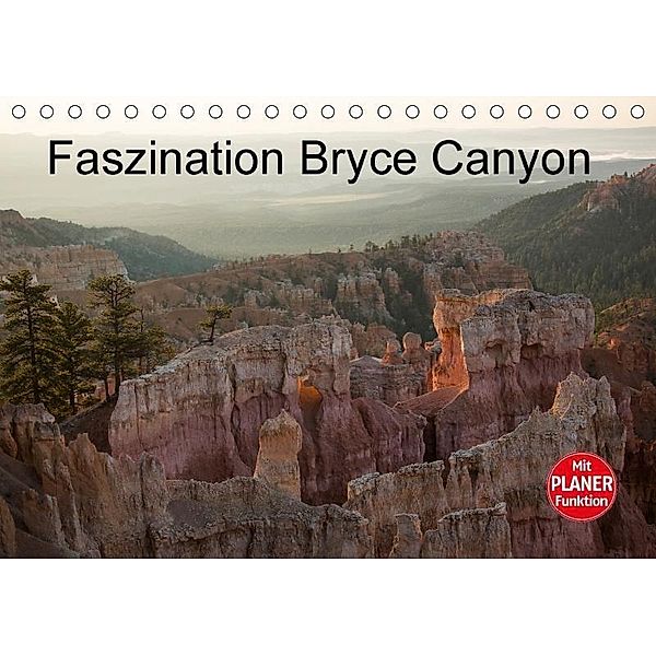 Faszination Bryce Canyon (Tischkalender 2017 DIN A5 quer), Andrea Potratz