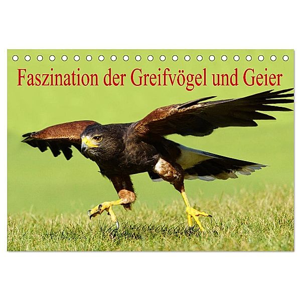 Faszination der Greifvögel und Geier (Tischkalender 2024 DIN A5 quer), CALVENDO Monatskalender, Erika Müller