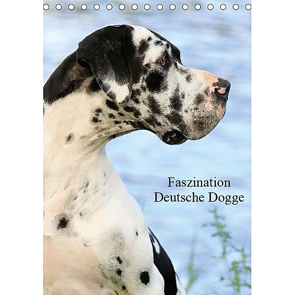 Faszination Deutsche Dogge (Tischkalender 2019 DIN A5 hoch), Marion Reiß-Seibert