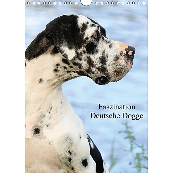 Faszination Deutsche Dogge (Wandkalender 2018 DIN A4 hoch), Marion Reiß-Seibert