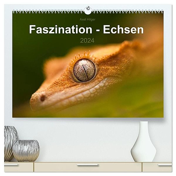 Faszination - Echsen (hochwertiger Premium Wandkalender 2024 DIN A2 quer), Kunstdruck in Hochglanz, Axel Hilger