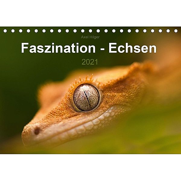 Faszination - Echsen (Tischkalender 2021 DIN A5 quer), Axel Hilger