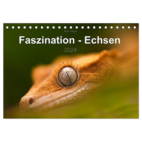 Faszination - Echsen (Tischkalender 2024 DIN A5 quer), CALVENDO Monatskalender, Axel Hilger