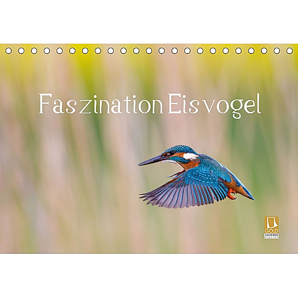 Faszination Eisvogel (Tischkalender 2019 DIN A5 quer), Wilfried Martin