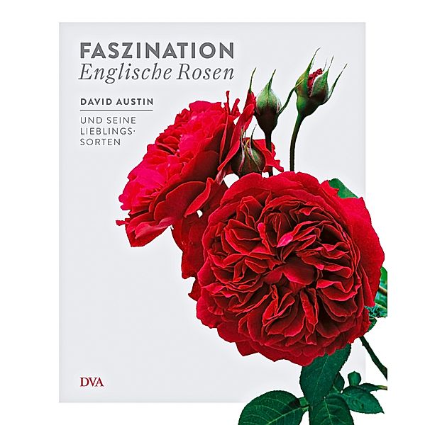 Faszination Englische Rosen, David Austin