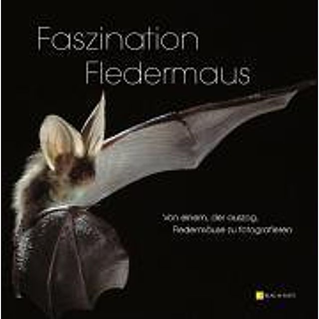 Faszination Fledermaus Buch versandkostenfrei bei Weltbild.de bestellen