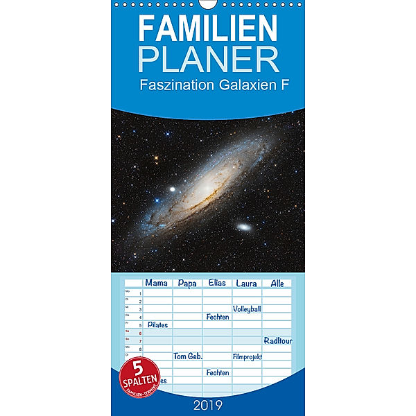 Faszination Galaxien Formenvielfalt der Welteninseln - Familienplaner hoch (Wandkalender 2019 , 21 cm x 45 cm, hoch), Kai Wiechen