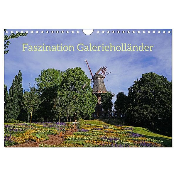 Faszination Galerieholländer (Wandkalender 2024 DIN A4 quer), CALVENDO Monatskalender, Faszination Galerieholländer