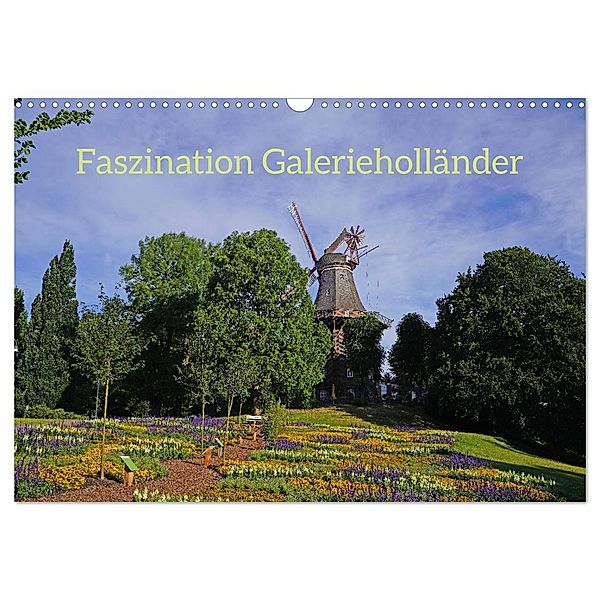 Faszination Galerieholländer (Wandkalender 2025 DIN A3 quer), CALVENDO Monatskalender, Calvendo, Faszination Galerieholländer