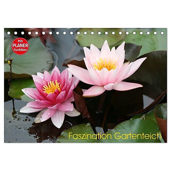 Faszination Gartenteich (Tischkalender 2024 DIN A5 quer), CALVENDO Monatskalender, Reinhard Rickert