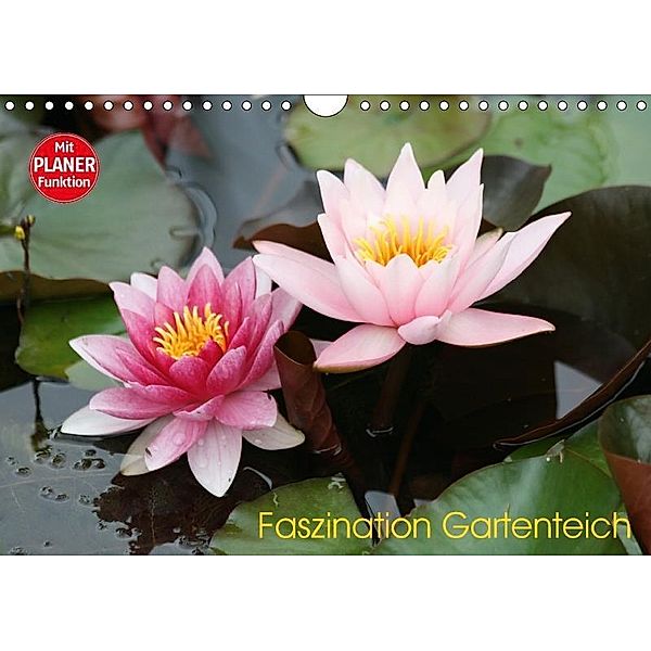 Faszination Gartenteich (Wandkalender 2017 DIN A4 quer), Reinhard Rickert