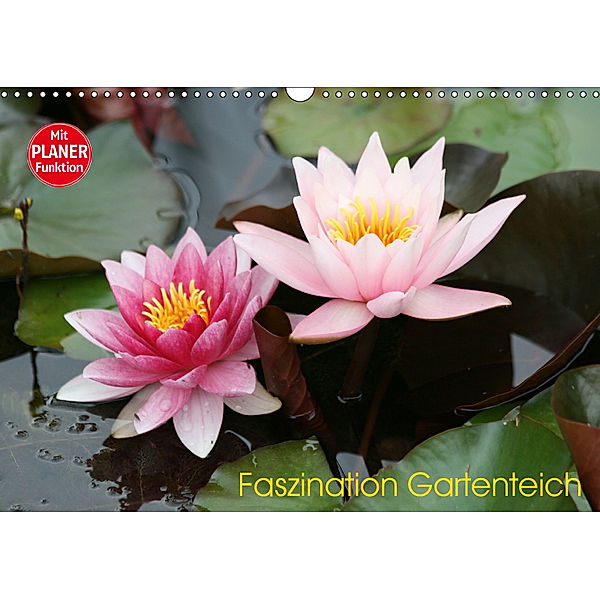 Faszination Gartenteich (Wandkalender 2019 DIN A3 quer), Reinhard Rickert