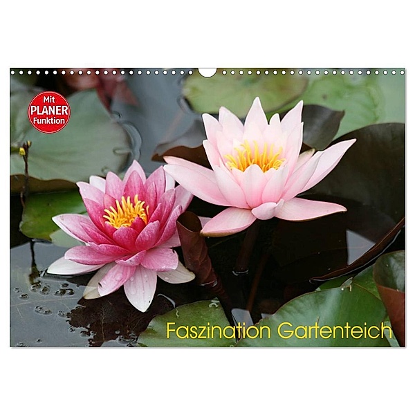 Faszination Gartenteich (Wandkalender 2024 DIN A3 quer), CALVENDO Monatskalender, Reinhard Rickert