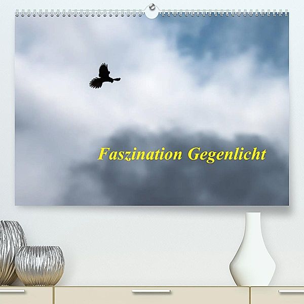 Faszination Gegenlicht (Premium, hochwertiger DIN A2 Wandkalender 2023, Kunstdruck in Hochglanz), Wilfried Martin (GDT)