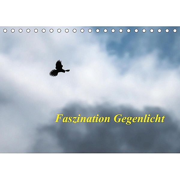 Faszination Gegenlicht (Tischkalender 2021 DIN A5 quer), Wilfried Martin