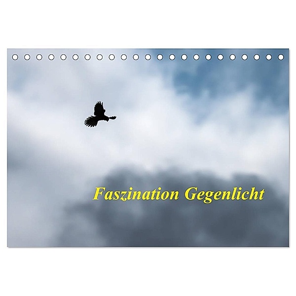 Faszination Gegenlicht (Tischkalender 2024 DIN A5 quer), CALVENDO Monatskalender, Wilfried Martin (GDT)