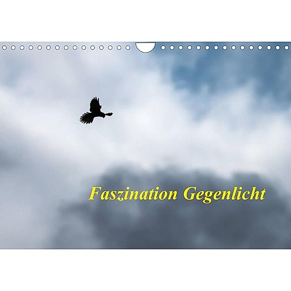 Faszination Gegenlicht (Wandkalender 2023 DIN A4 quer), Wilfried Martin (GDT)