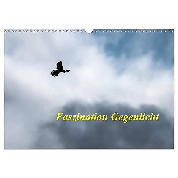 Faszination Gegenlicht (Wandkalender 2024 DIN A3 quer), CALVENDO Monatskalender, Wilfried Martin (GDT)