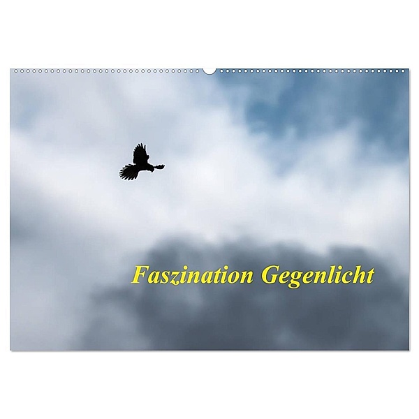 Faszination Gegenlicht (Wandkalender 2025 DIN A2 quer), CALVENDO Monatskalender, Calvendo, Wilfried Martin (GDT)