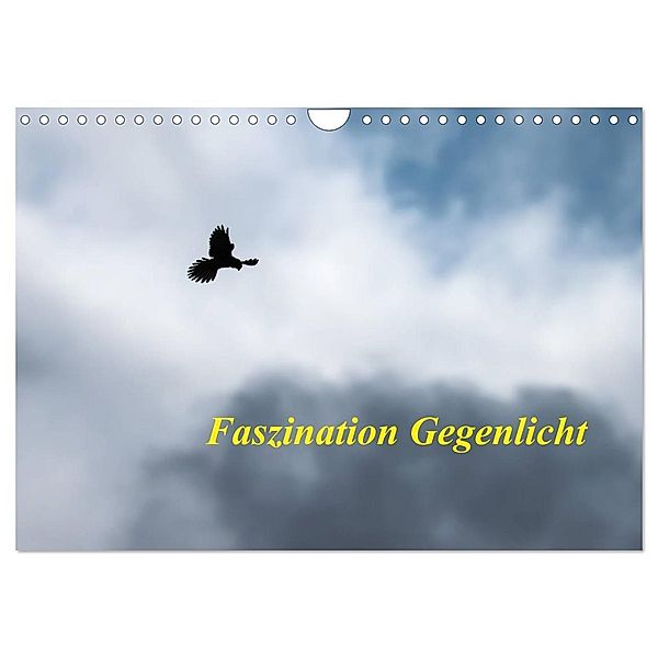 Faszination Gegenlicht (Wandkalender 2025 DIN A4 quer), CALVENDO Monatskalender, Calvendo, Wilfried Martin (GDT)