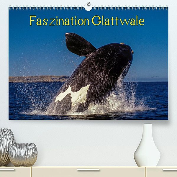 Faszination Glattwale(Premium, hochwertiger DIN A2 Wandkalender 2020, Kunstdruck in Hochglanz), Armin Maywald