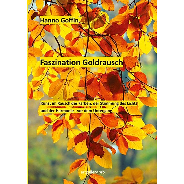 Faszination Goldrausch / artgallery.pro Bd.2, Hanno Goffin