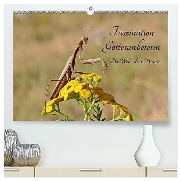 Faszination Gottesanbeterin - Die Welt der Mantis (hochwertiger Premium Wandkalender 2024 DIN A2 quer), Kunstdruck in Hochglanz, Juehust