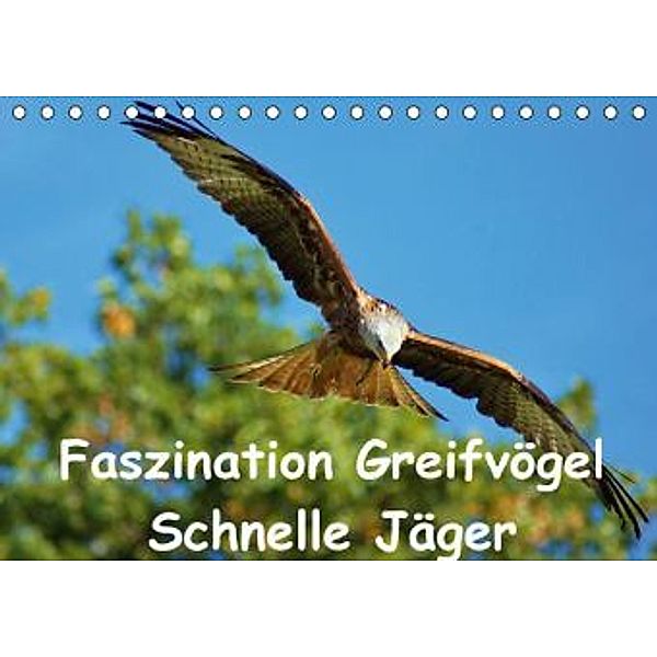 Faszination Greifvögel Schnelle Jäger (Tischkalender 2016 DIN A5 quer), Lutz Klapp