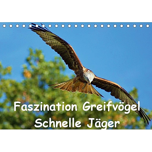 Faszination Greifvögel Schnelle Jäger (Tischkalender 2020 DIN A5 quer), Lutz Klapp