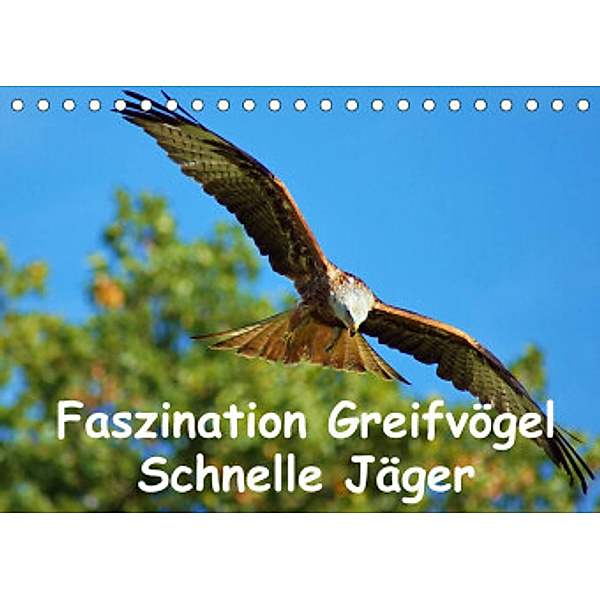 Faszination Greifvögel Schnelle Jäger (Tischkalender 2022 DIN A5 quer), Lutz Klapp