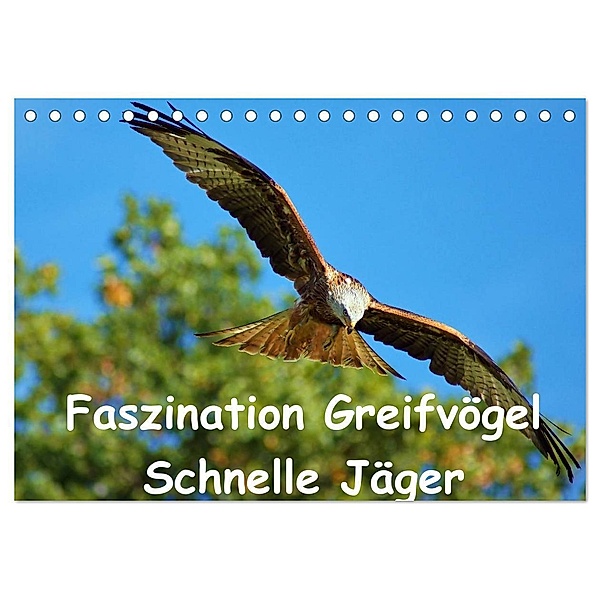 Faszination Greifvögel Schnelle Jäger (Tischkalender 2024 DIN A5 quer), CALVENDO Monatskalender, Lutz Klapp