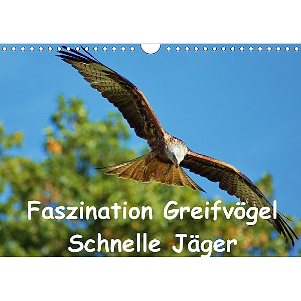 Faszination Greifvögel Schnelle Jäger (Wandkalender 2018 DIN A4 quer), Lutz Klapp