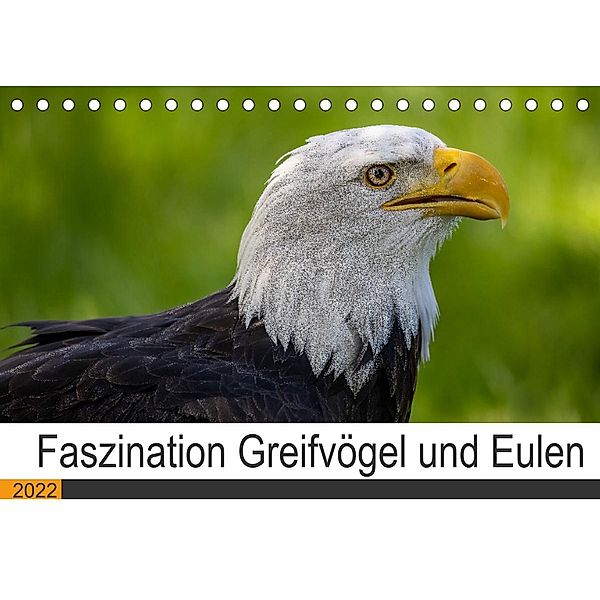 Faszination Greifvögel und Eulen (Tischkalender 2022 DIN A5 quer), Manuel Weiter
