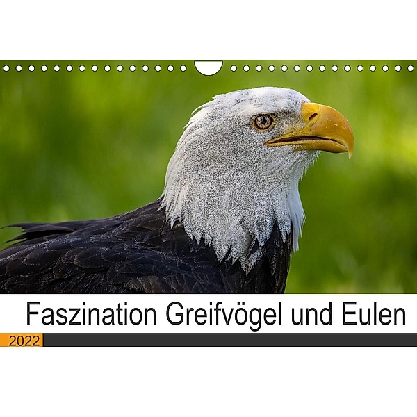 Faszination Greifvögel und Eulen (Wandkalender 2022 DIN A4 quer), Manuel Weiter